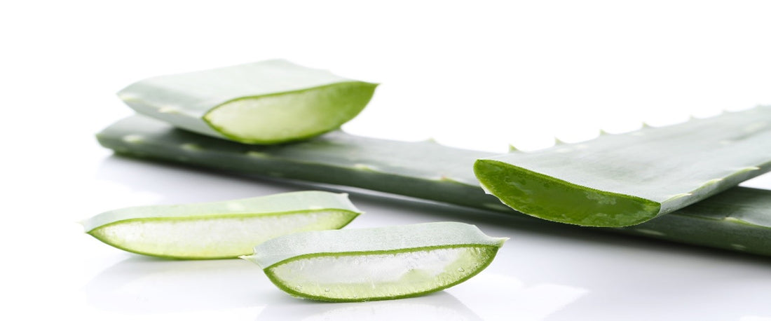 ALOE VERA : BENEFITS OF ALOE VERA FOR SKINCARE